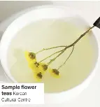 Things to do this week, from sampling flower teas and a cat adoption ...