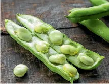  ??  ?? Aabove: any time in April is a good time to plant broad beans. Below: autum leaves are an excellent addition to the compost heap.