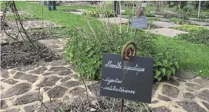  ?? | PHOTO : OUEST-FRANCE ?? Les propriétés des plantes médicinale­s sont affichées sur des pancartes.