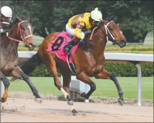  ?? Submitted photo ?? BACK ON TRACK: Jockey Martin Garcia leads The Mary Rose over the wire in a Feb. 7 Maiden Special Weight race at Oaklawn Park. The pair are entered in today’s $100,000 Rainbow Miss. Photo courtesy Coady Photograph­y.