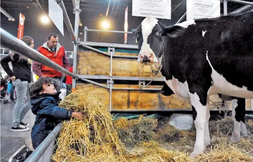  ?? GERMAN ADRASTI Y HERNAN ROJAS ?? A jugar. Uno de los miles de chicos que estos días de vacaciones de inviernos visitaron La Rural. /