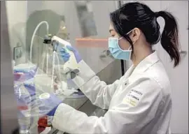  ??  ?? JENNIFER LE, shown working in a UCR biochemist­ry lab, said she hopes that undergradu­ate research grants will be restored to help ease disparitie­s.