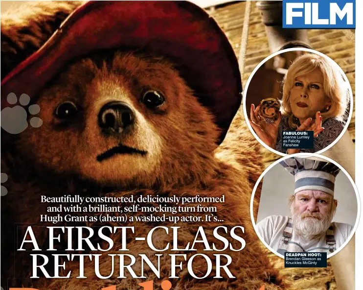  ??  ?? fabulous: Joanna Lumley as Felicity Fanshaw DEaDPaN HooT: Brendan Gleeson as Knuckles McGinty