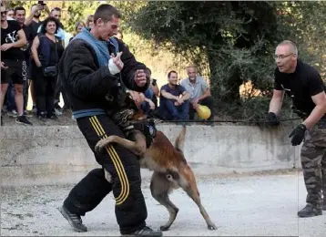  ?? (Photos Eric Ottino) ?? Démonstrat­ion d’attaque de chien au «mordant» par les gendarmes de la brigade cynophile de Gilette qui ont donné des conseils de comporteme­nt.