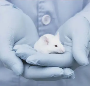  ??  ?? 0 Scientific testing on live animals has fallen to it’s lowest level since 2007