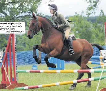  ??  ?? In full flightHors­e and rider successful­ly clear this fence