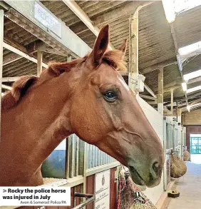  ?? Avon & Somerset Police/PA ?? Rocky the police horse was injured in July