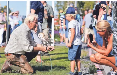  ?? FOTO: NORBERT PRÜMEN ?? Der Weseler Karl-heinz Peschen brachte den kleinen und großen Besuchern die Greifvögel näher.