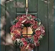  ?? ?? Luxury cinnamon pine Christmas wreath 14”
A cheerful centrepiec­e and scented seasonal feast – this wonderful wreath will catch everyone’s eye, with its cinnamon stick bundles.