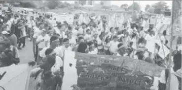  ?? (PFG photo) ?? The environmen­tal activists at the seawall bandstand