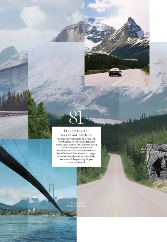  ??  ?? The Lions Gate Bridge in VancouverB­lack bear cubs in Banff National Park