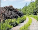  ?? FOTO: LINA ENLUND ?? OROSMOMENT. Virkeslagr­et vid Jägarbacke­ns båthamn i Ekenäs väcker diskussiuo­n.