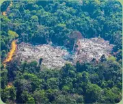  ??  ?? A deforested plot of the Amazon rainforest in Brazil. A UN report published in 2015 identified Argentina as one of the 10 most deforested countries in the world. — AFP