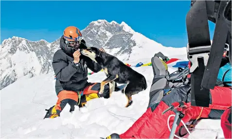  ??  ?? Don Wargowsky sharing his food with the dog, above, and, left, the animal is clipped to a rope for safety on one section of the climb