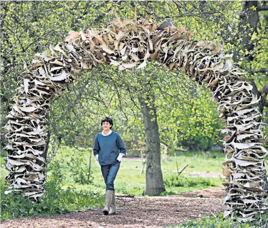  ??  ?? Isabella Tree at Knepp Castle Estate in West Sussex, where she and her husband Sir Charles Burrell have spent two decades rewilding its 3,500 acres