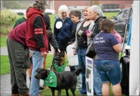  ?? MARIAN DENNIS – DIGITAL FIRST MEDIA ?? Walkers and their dogs had a fun time Saturday celebratin­g their four-legged friends and raising money for The American Cancer Society during the Bark for Life Pottstown.