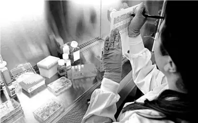  ?? STEVEN SENNE/AP ?? A scientist notes the time while testing human skin tissue with skin care products at a MatTek Corp. lab, in Ashland, Massachuse­tts.