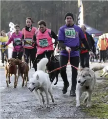  ??  ?? Those dogs days are far from over! Make like reader Tom and take your canine buddy along to one of an ever-increasing number of cani-sports this off-season