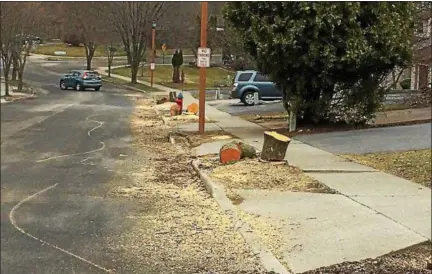  ?? PHOTO BY PATRICIA DOXSEY ?? Only stumps and sawdust remain midday Thursday where several Bradford pear trees used to stand on Sterling Place in Highland, N.Y.