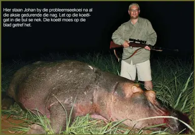  ??  ?? Hier staan Johan by die probleemse­ekoei na al die aksie gedurende die nag. Let op die koeëlgat in die bul se nek. Die koeël moes op die blad getref het.