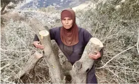  ?? Photograph: Amar Omran ?? Doha Asous with one of her olive trees cut down by Israeli settlers in the West Bank just outside her village of Burin.