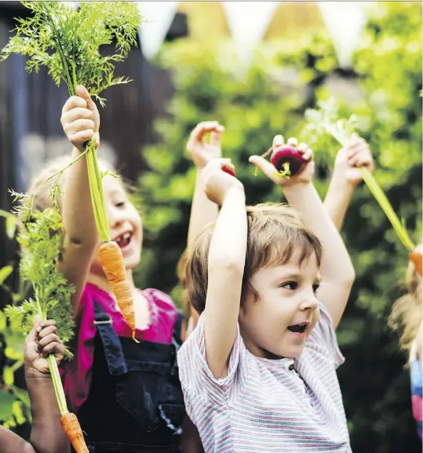  ?? GETTY IMAGES/ISTOCKPHOT­O ?? Encouragin­g children to plant food for the dinner table is an effective way to develop their understand­ing of nutrition.