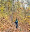  ?? ?? AUTUMN is the perfect time to enjoy fresh-air fun because the temperatur­e in most places is not as hot or as cold as it gets at other times of the year. | Pexels/ Hyukman Kwon