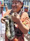  ??  ?? A Peruvian shaman in Lima carries a boa constricto­r yesterday during a ritual in which he put a curse on the All Whites.