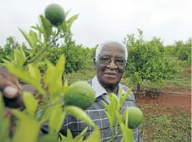  ?? Picture: Antonio Muchave ?? Dr Sam Motsuenyan­e, the ‘father of black business’, admires a citrus orchard.