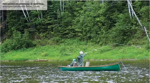  ??  ?? PESCADORES EN UN BOSQUE DE MONTREAL, en la región francófona de Quebec, Canadá.