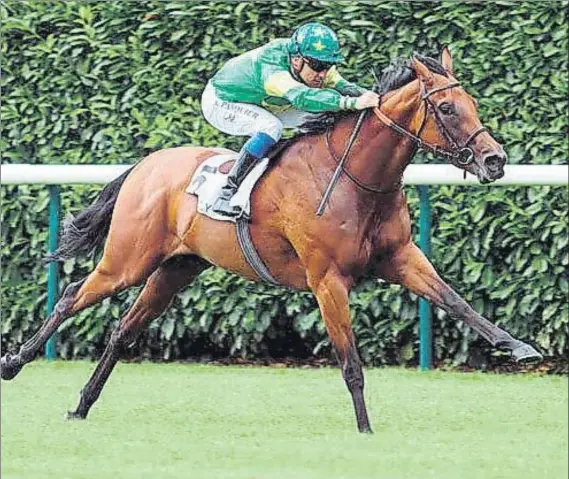  ?? FOTO: MD ?? Couer de Beauté, hija de Dabirsim, dio la medida de sus posibilida­des en Longchamp y ahora enfila hacia el prestigios­o meeting de Royal Ascot a mediados de junio