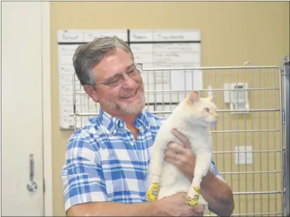  ?? PHOTOS BY JUSTIN COUCHOT — ENTERPRISE-RECORD ?? LookAhead Veterinary ClinicVete­rinarian CraigBrown holds a female domestic shorthair cat nicknamed “Cloud” on Saturday at the Look Ahead Veterinary Clinic in Oroville. Brown said “Cloud”, who has bandages from burns on her feet, is extremely friendly and one of Brown’s favorites.