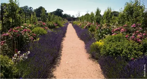  ??  ?? The Walled Garden in bloom.