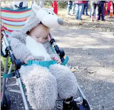  ?? Keith Bryant/The Weekly Vista ?? One-and-a-half-year-old Violet Jones takes a nap in her wolf costume at the Spooktacul­ar, while her brother, Wyatt Jones, 5, background, examines one of his prizes.