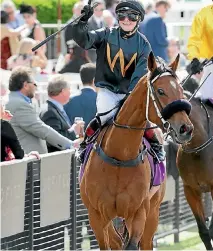  ?? PHOTO: TRISH DUNELL ?? Consensus will be among the pack chasing Winx on Saturday at Randwick.