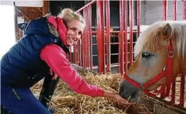  ??  ?? Helen Reichel vom Haflinger-Gestüt in Meura füttert eine Haflinger-Stute. In diesem Jahr sollen  Fohlen auf dem Gestüt das Licht der Welt erblicken. Foto: Norman Börner