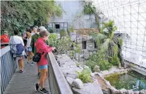  ?? ROSS D. FRANKLIN/ASSOCIATED PRESS ?? Tourists check out the Biosphere 2 Ocean, designed as an enclosed ecological system, in 2015 in Oracle, Ariz. University of Arizona officials say that 25 years after that New Age-style experiment in the Arizona desert, the glass-covered greenhouse thrives as a singular site for researcher­s from around the world.