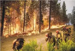  ?? NOAH BERGER AP ?? Firefighte­rs use their helmets to shield themselves from backfire — flames lit by firefighte­rs to burn off vegetation — while battling the Mosquito fire Friday.