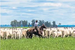  ??  ?? The South American deal could hit EU beef and there are fears over management of Brazil’s rainforest.