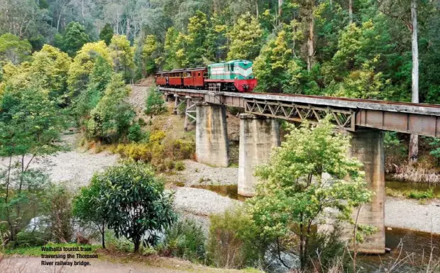  ??  ?? Walhalla tourist train traversing the Thomson River railway bridge.