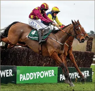  ??  ?? RED-HOT FAVOURITE: Paddy Power’s owners enjoyed a bumper 12 months