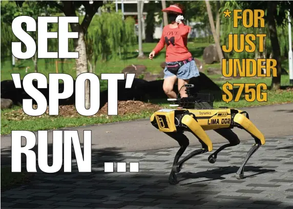  ?? GETTY IMAGES ?? *FOR JUST UNDER $75G
ROBO-RIN TIN TIN: Boston Dynamics robot dog ‘Spot’ is implemente­d in Singapore to promote social distancing amid the global pandemic. The Waltham-based company is now selling the four-legged robo-pooch for just under $75,000.