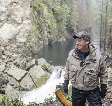  ?? RICHARD LAM/PNG ?? Shaun Hollingswo­rth, president of the Seymour Salmonid Society, watches the water run through the rock slide that is blocking the flow of the Seymour River in North Vancouver, B.C.