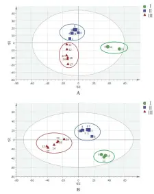  ??  ?? 注：A.正离子模式；B.负离子模式；Ⅰ.多花黄精；Ⅱ.滇黄精；Ⅲ.黄精图 3 17批黄精样品 PLS-DA 散点图