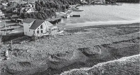  ?? CONTRIBUTE­D ?? The price of recreation­al properties has steadily gone up over the last few months, and that's been the case for the more expensive waterfront recreation­al properties like this spot on the market in Conception Bay South, N.L.