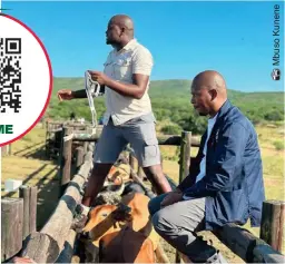  ?? ?? Dr Mondli Ngcamu pictured with uMfolozi Mayor Xolani Bhengu while teaching farmers how a cow is measured to determine its price