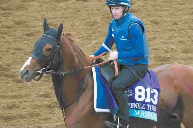  ?? BARBARA D. LIVINGSTON ?? Masar, trained by Charlie Appleby, is a lukewarm 9-2 morning-line favorite in the Juvenile Turf.