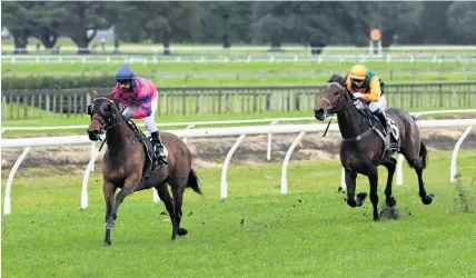  ?? Trish Dunell ?? Underthemo­onlight has daylight between her and the next horse at Tauranga.
