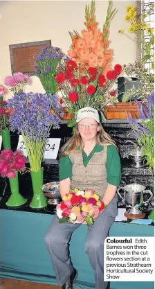  ??  ?? Colourful Edith Barnes won three trophies in the cut flowers section at a previous Strathearn Horticultu­ral Society Show