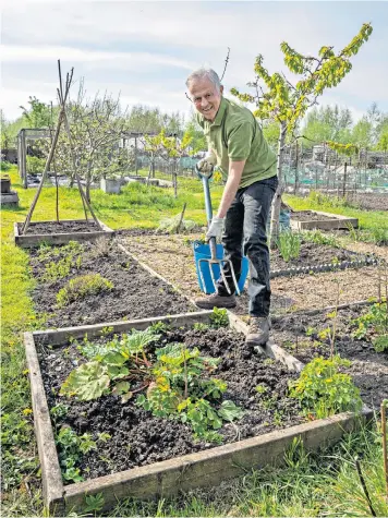  ??  ?? Digging in: Jim White has found contentmen­t in his wife’s allotment – ‘the budget equivalent of a rural retreat’